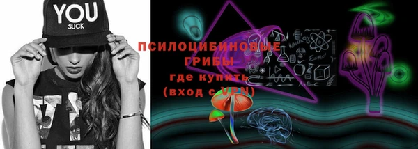 ПСИЛОЦИБИНОВЫЕ ГРИБЫ Медногорск