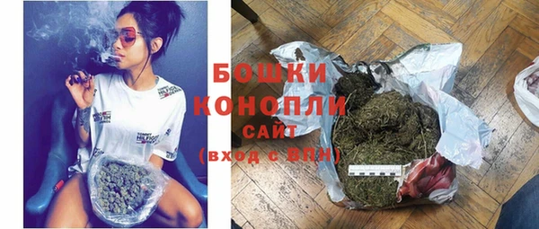 амф Новодвинск