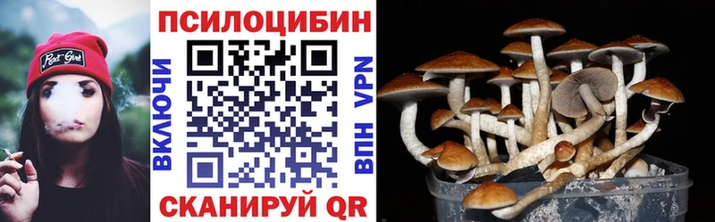 купить наркотик  Мосальск  Галлюциногенные грибы ЛСД 